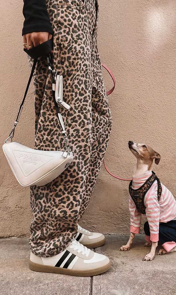 COLETTE IT GIRL COMBINA PANTALON DE LEOPARDO CON BLUSA NEGRA CUELLO ALTO Y BOLSO BLANCO PRADA MIENTRAS SACA A PASEAR SU PERRO